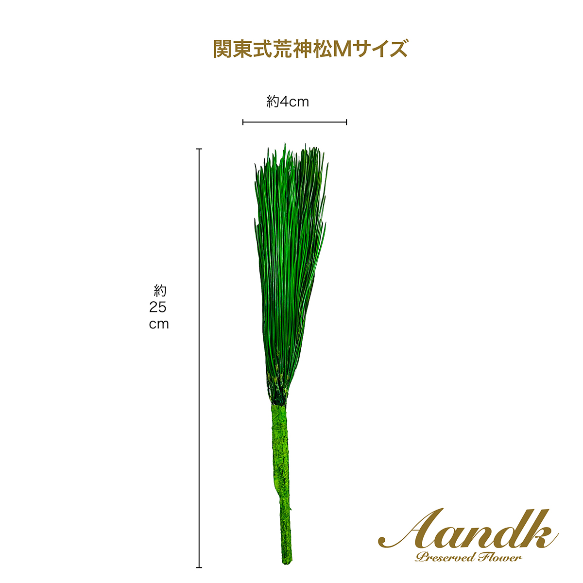 Ａ＆Ｋ　関東式プリザーブド荒神松　Ｍ（１束）