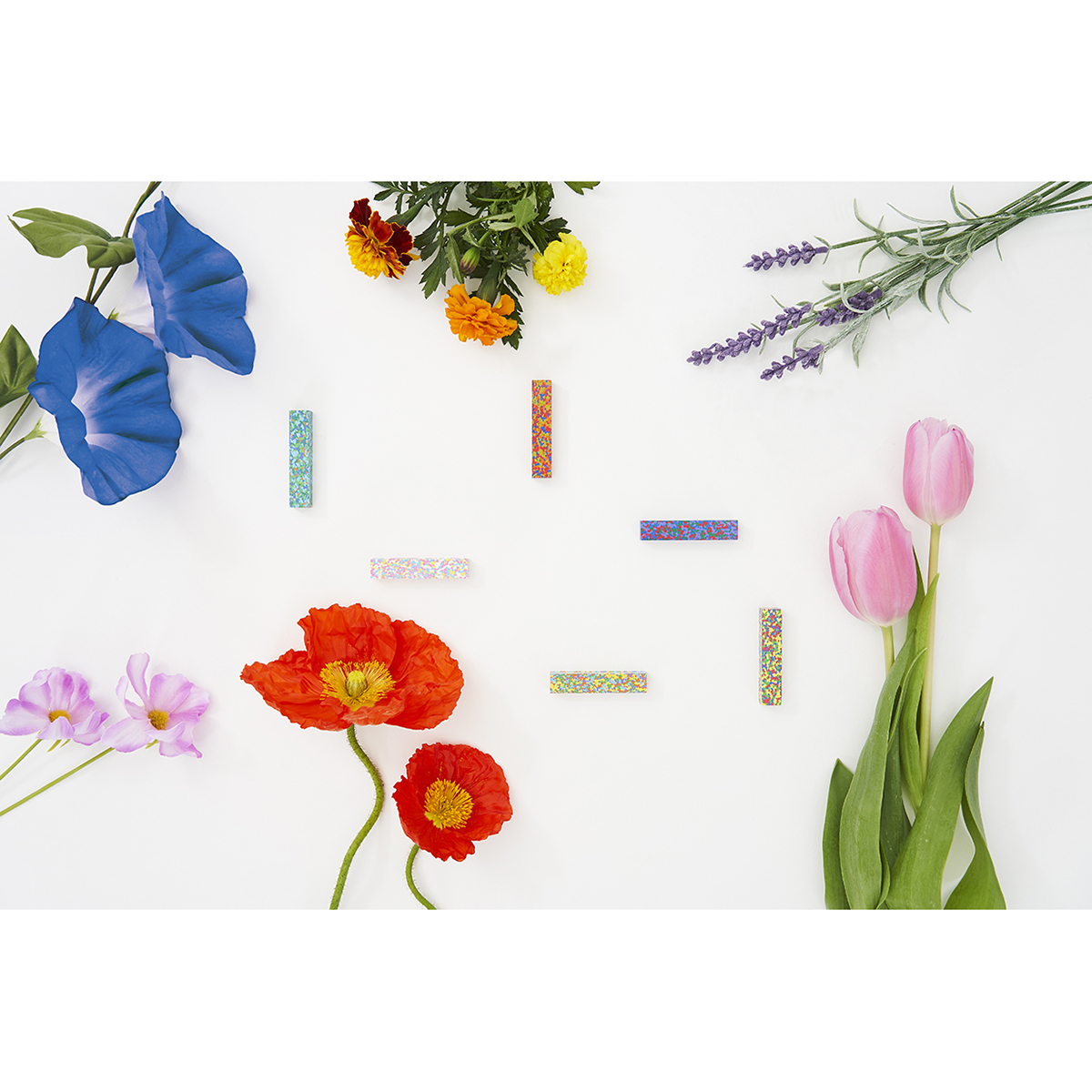 あおぞら　ドットフラワークレヨン