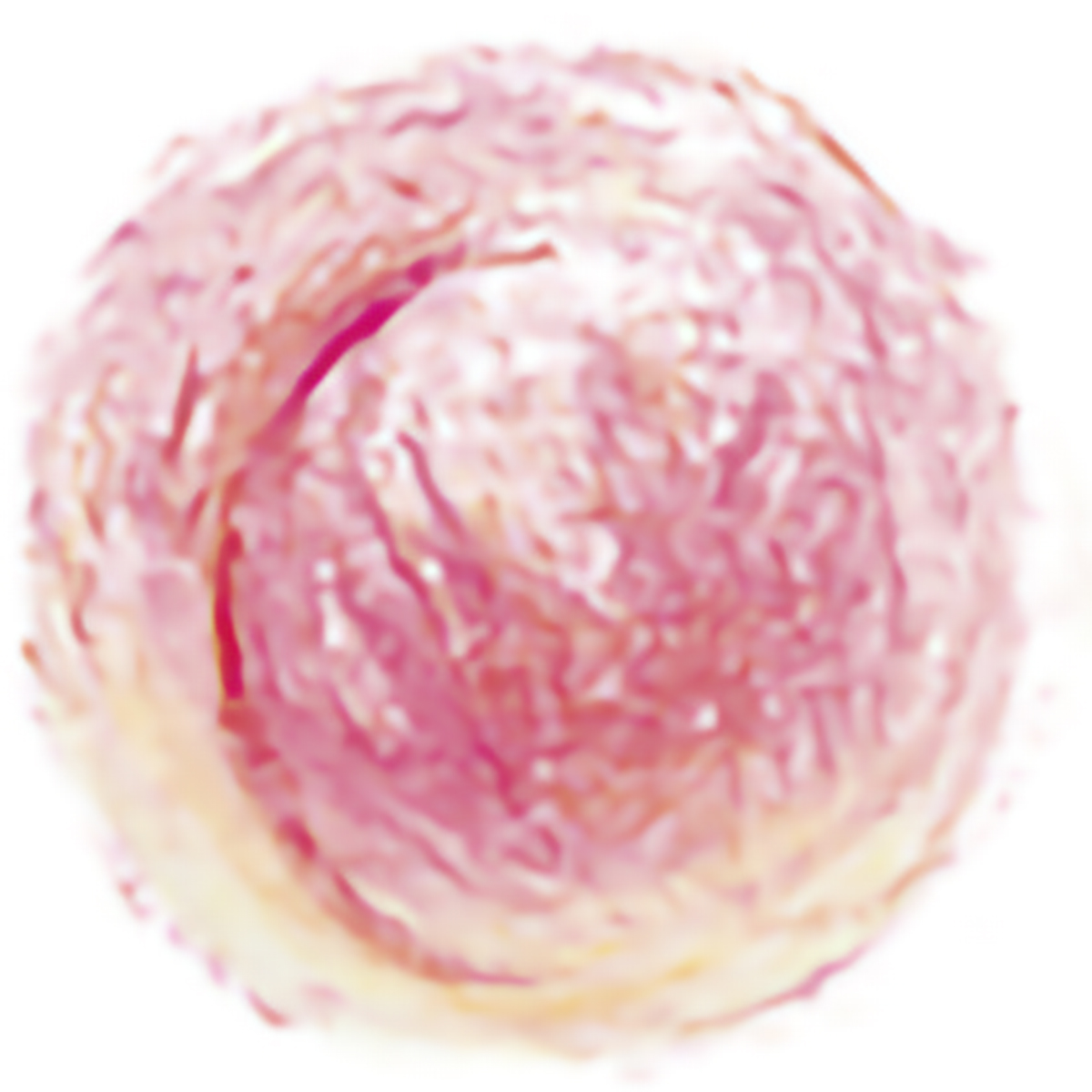 あおぞら　ドットフルーツクレヨン