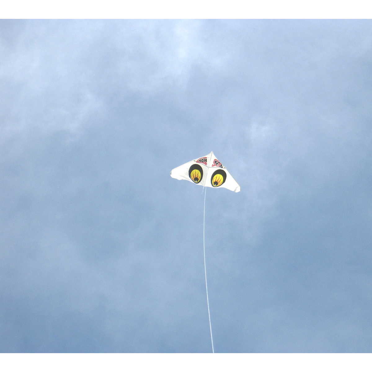 あおぞら　ゲイラカイト　スカイスパイ