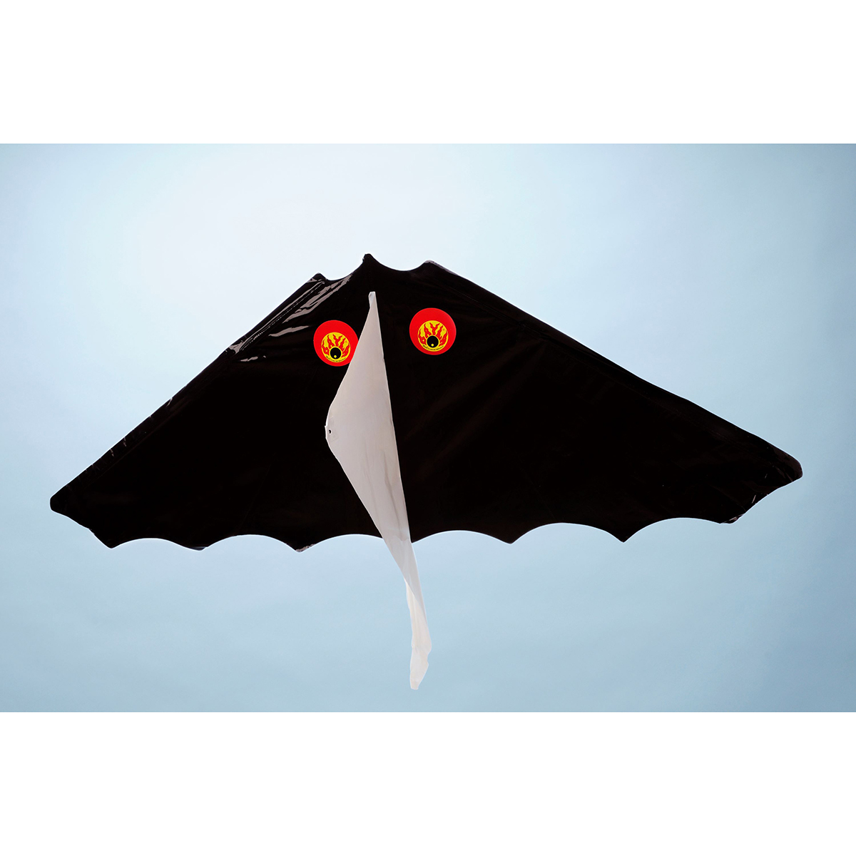 あおぞら　ゲイラカイト　ベビーバット