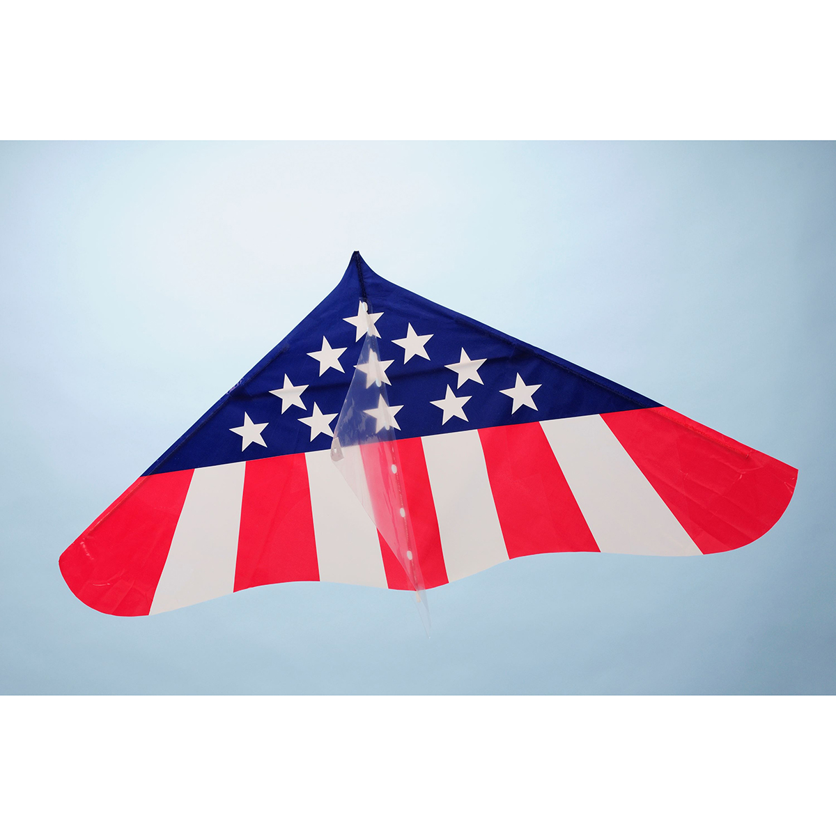 あおぞら　ゲイラカイト　アメリカン