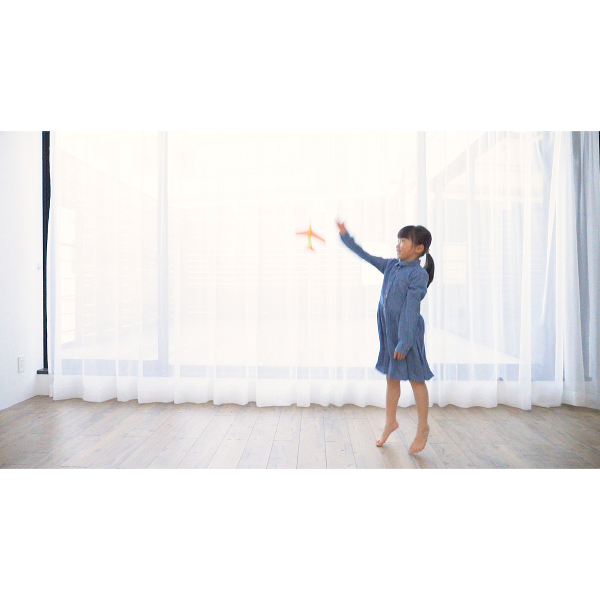 あおぞら　ルーパー　２機入