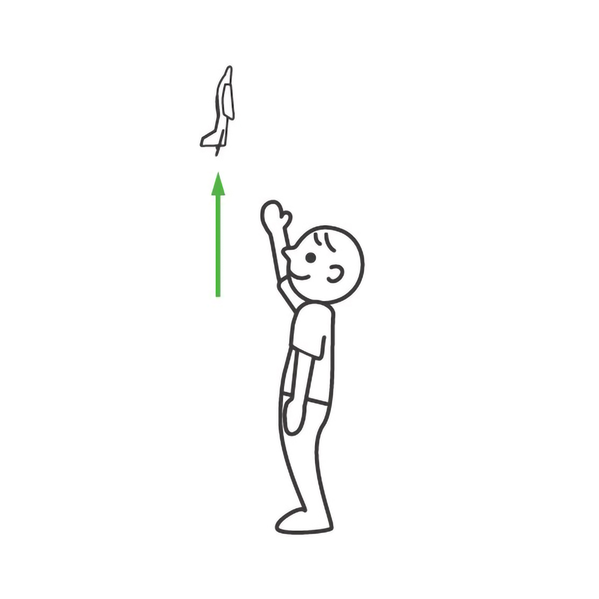 あおぞら　ルーパー　２機入