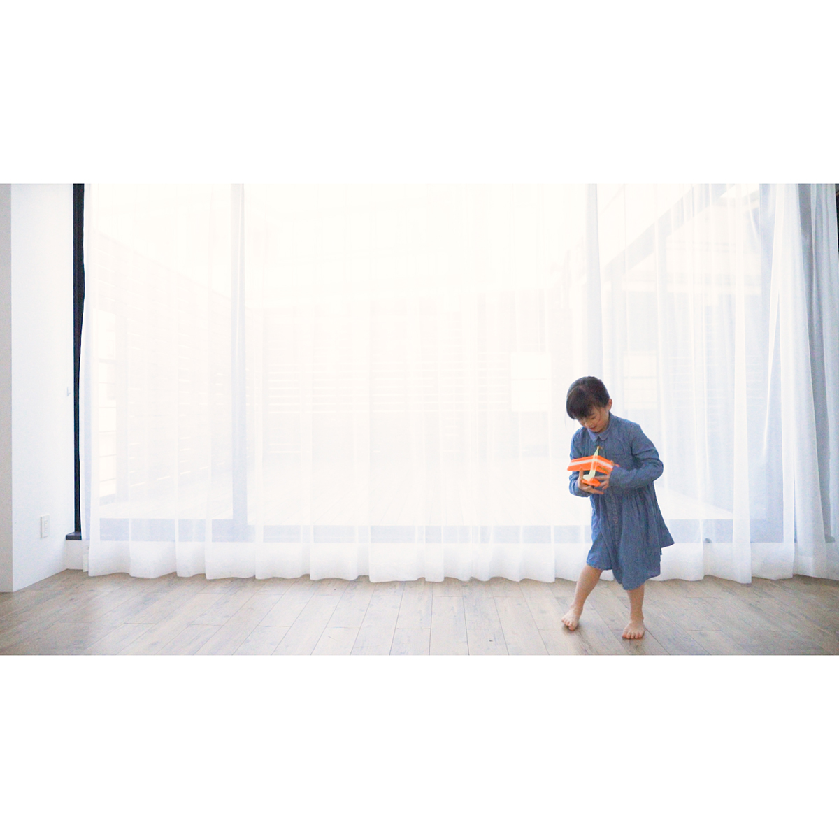 あおぞら ルーパーミニ 3機入