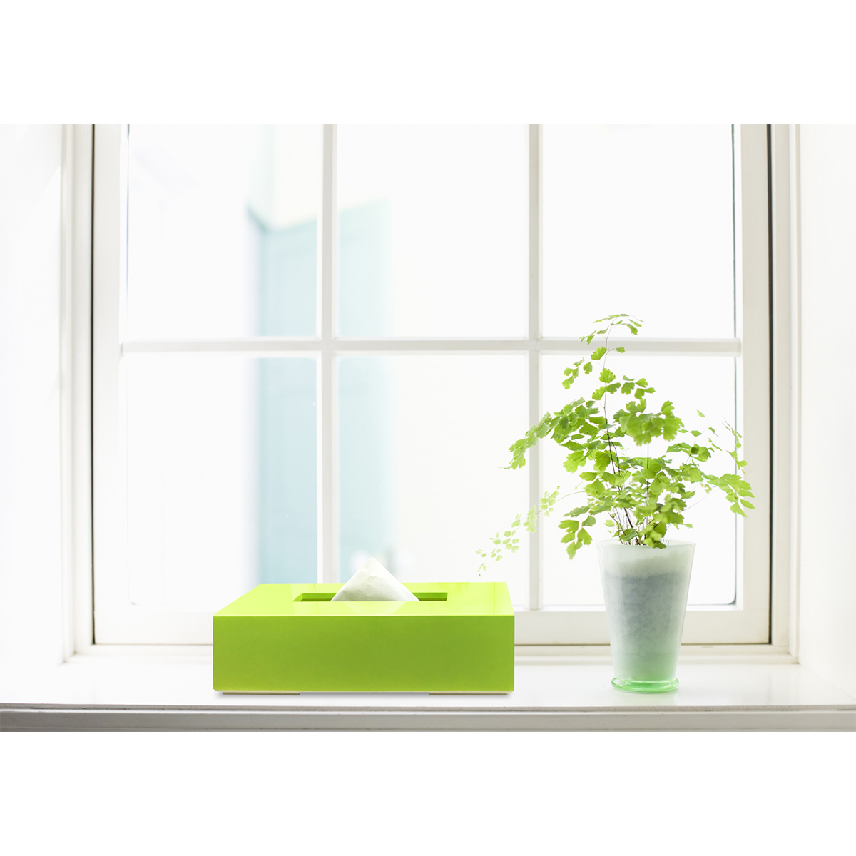ティッシュボックス　カラー　グリーン