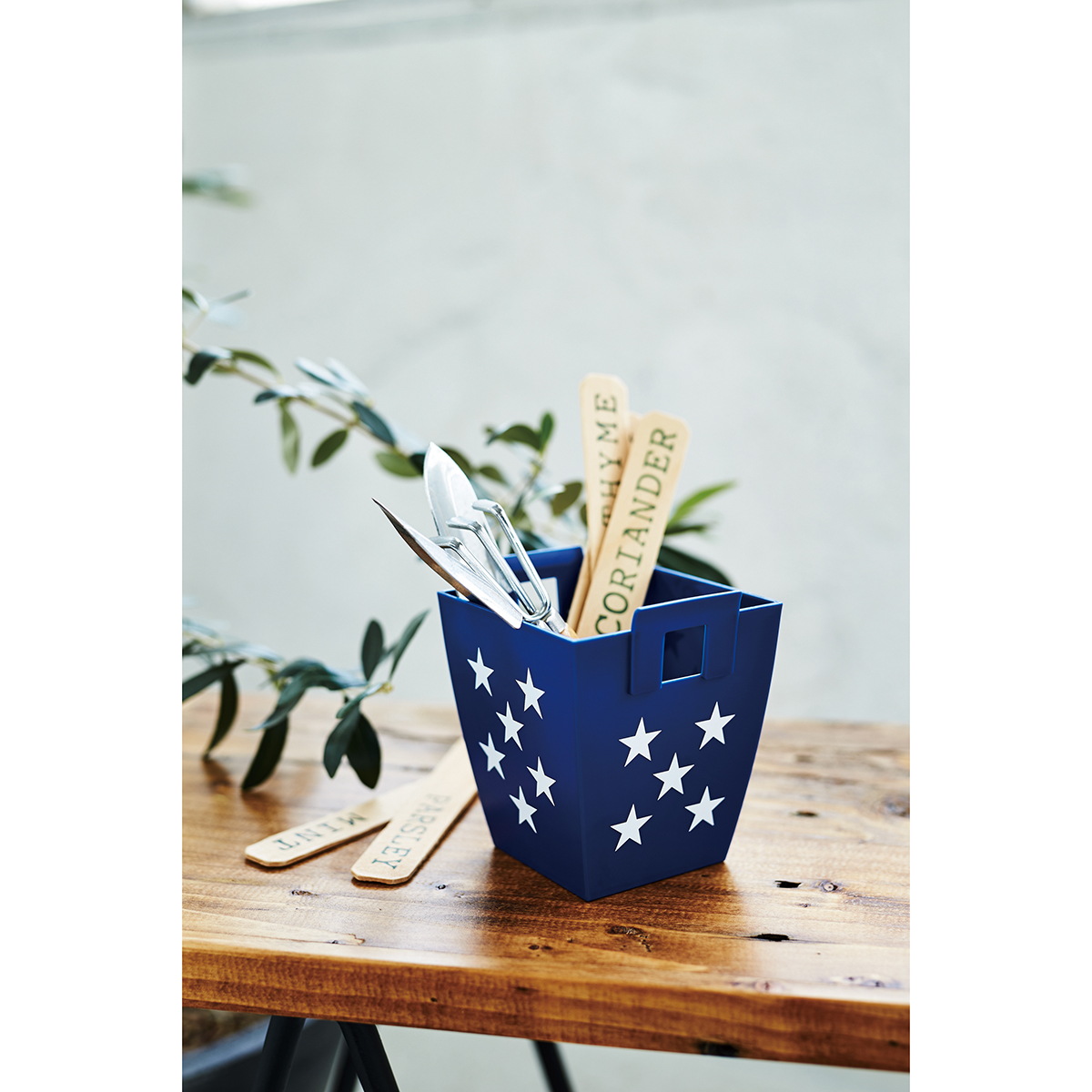 伊勢藤　クラスケット　ｗｉｔｈ　ｓｔａｒｓ　ＸＳ　ネイビー