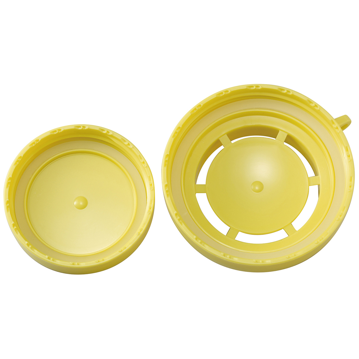 伊勢藤　Ｃｏｔｔｌｅ（コトル）　グリーンメロン