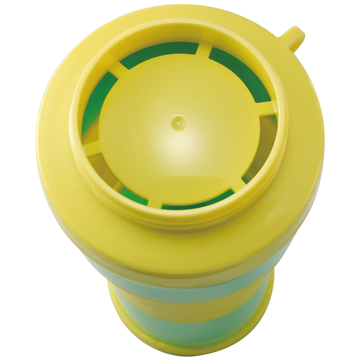 伊勢藤　Ｃｏｔｔｌｅ（コトル）　グリーンメロン