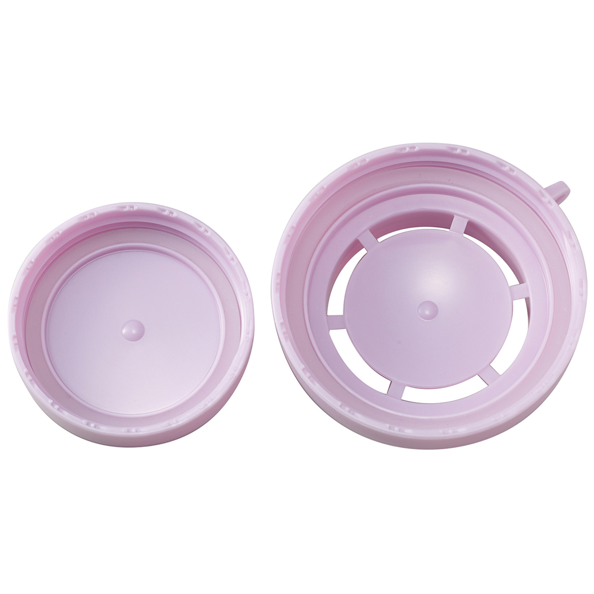 伊勢藤　Ｃｏｔｔｌｅ（コトル）　ピンクベリー