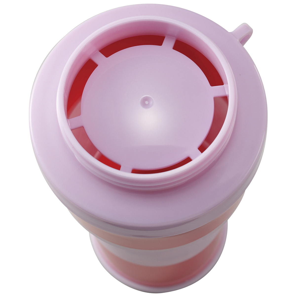 伊勢藤　Ｃｏｔｔｌｅ（コトル）　ピンクベリー