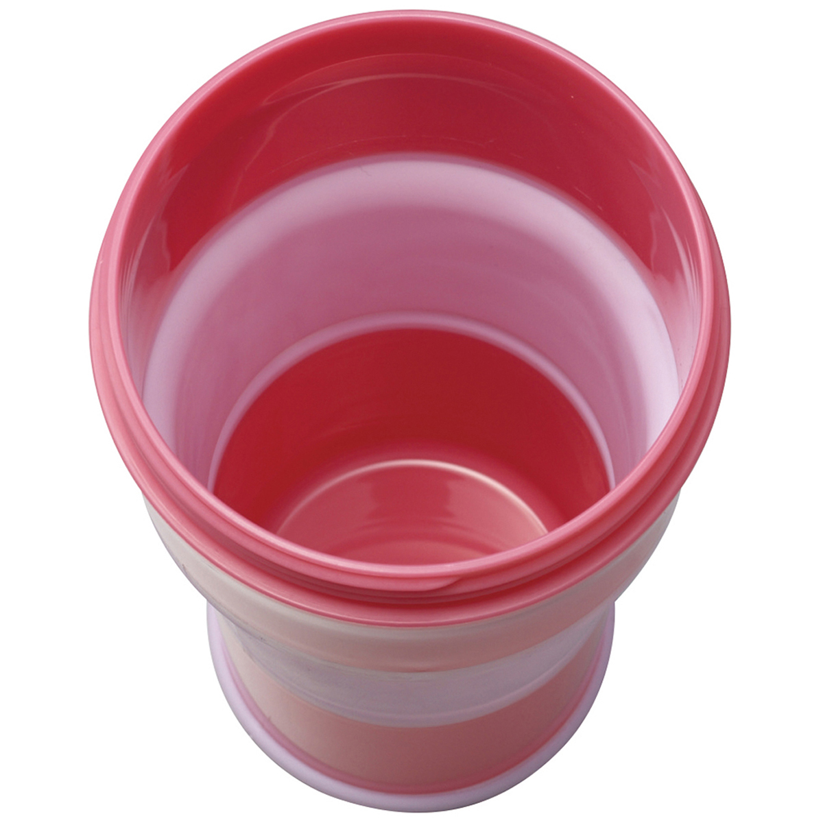 伊勢藤　Ｃｏｔｔｌｅ（コトル）　ピンクベリー