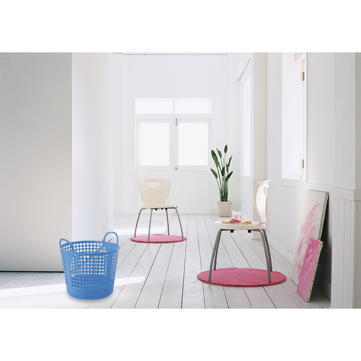 伊勢藤　ナイスラック　ブルー