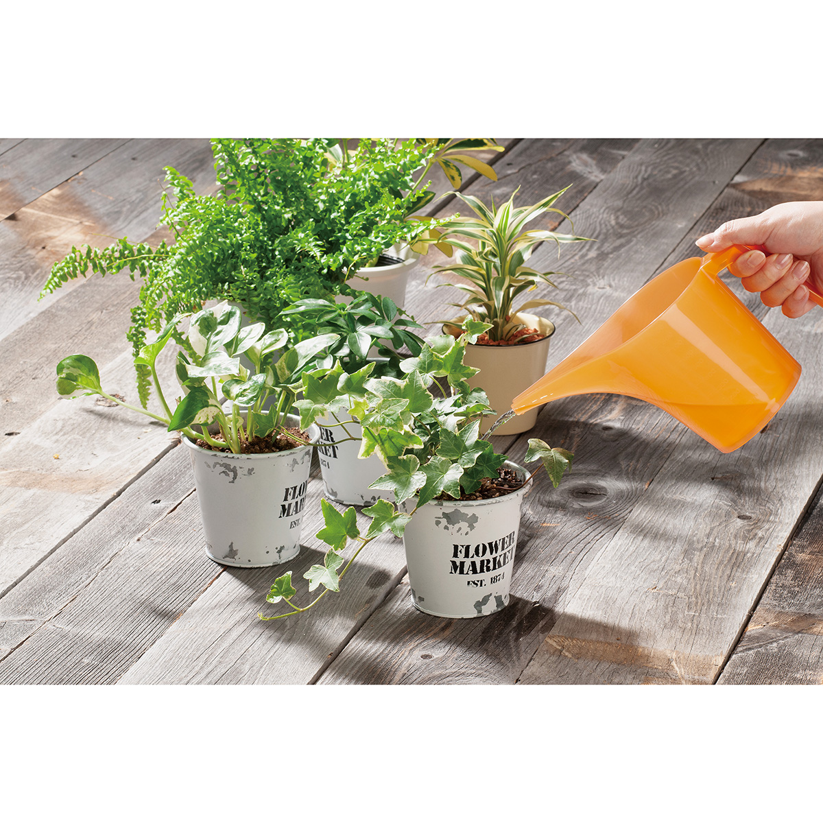 園芸用水差し オレンジ | かぜとゆきオンラインショップ