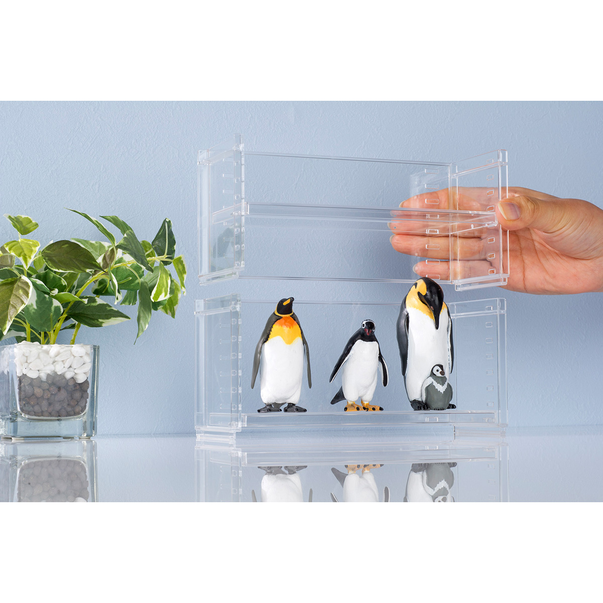 ディスプレイラック03 クリアー | かぜとゆきオンラインショップ