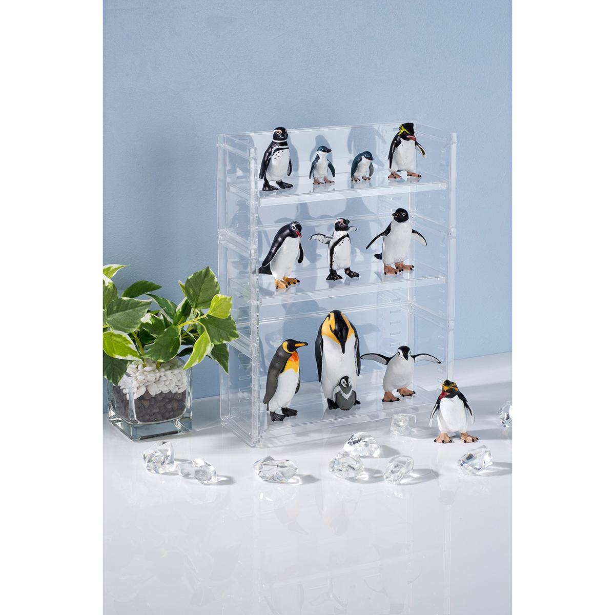 ディスプレイラック03 クリアー | かぜとゆきオンラインショップ