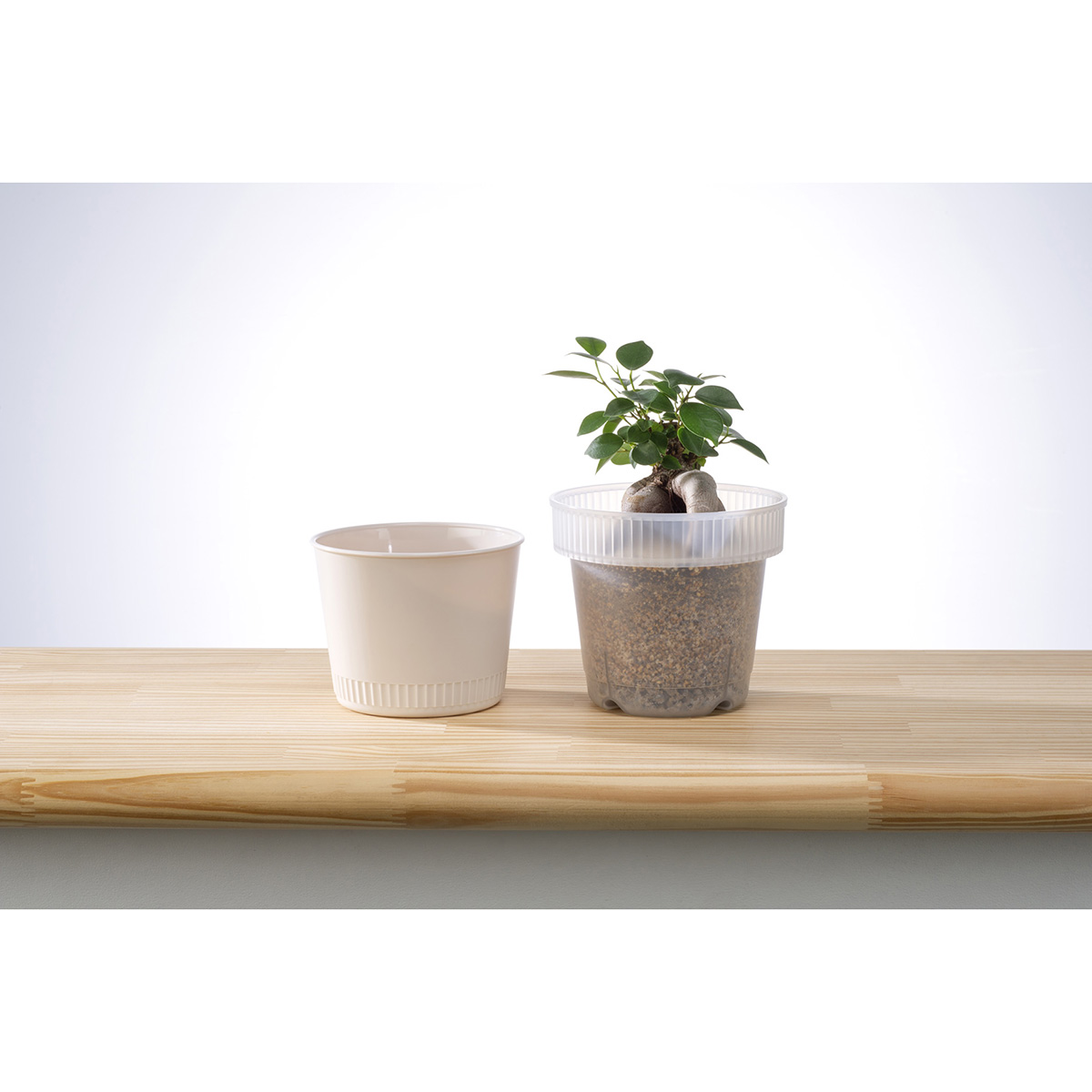 観察できる植木鉢 アイボリー | かぜとゆきオンラインショップ