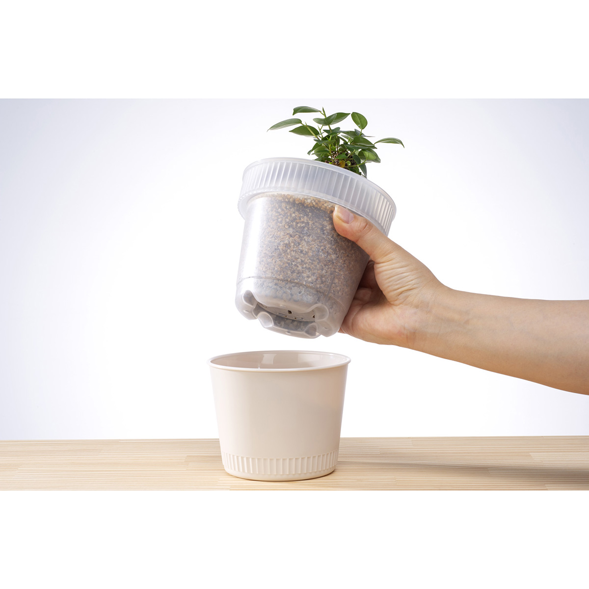 観察できる植木鉢 アイボリー | かぜとゆきオンラインショップ