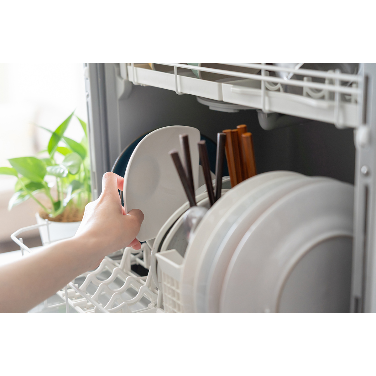 マックスエコ・ボトル1kg