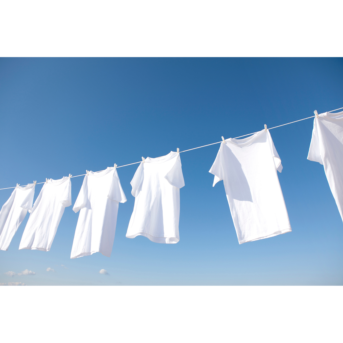 マックスエコ・ボトル1kg