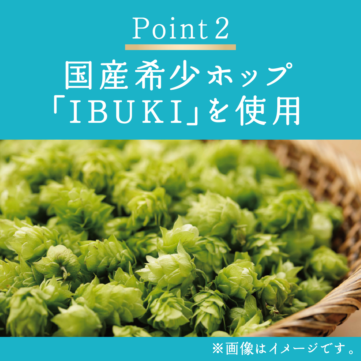 キリン　晴れ風　 350ml缶【ケース24本】【ビール】