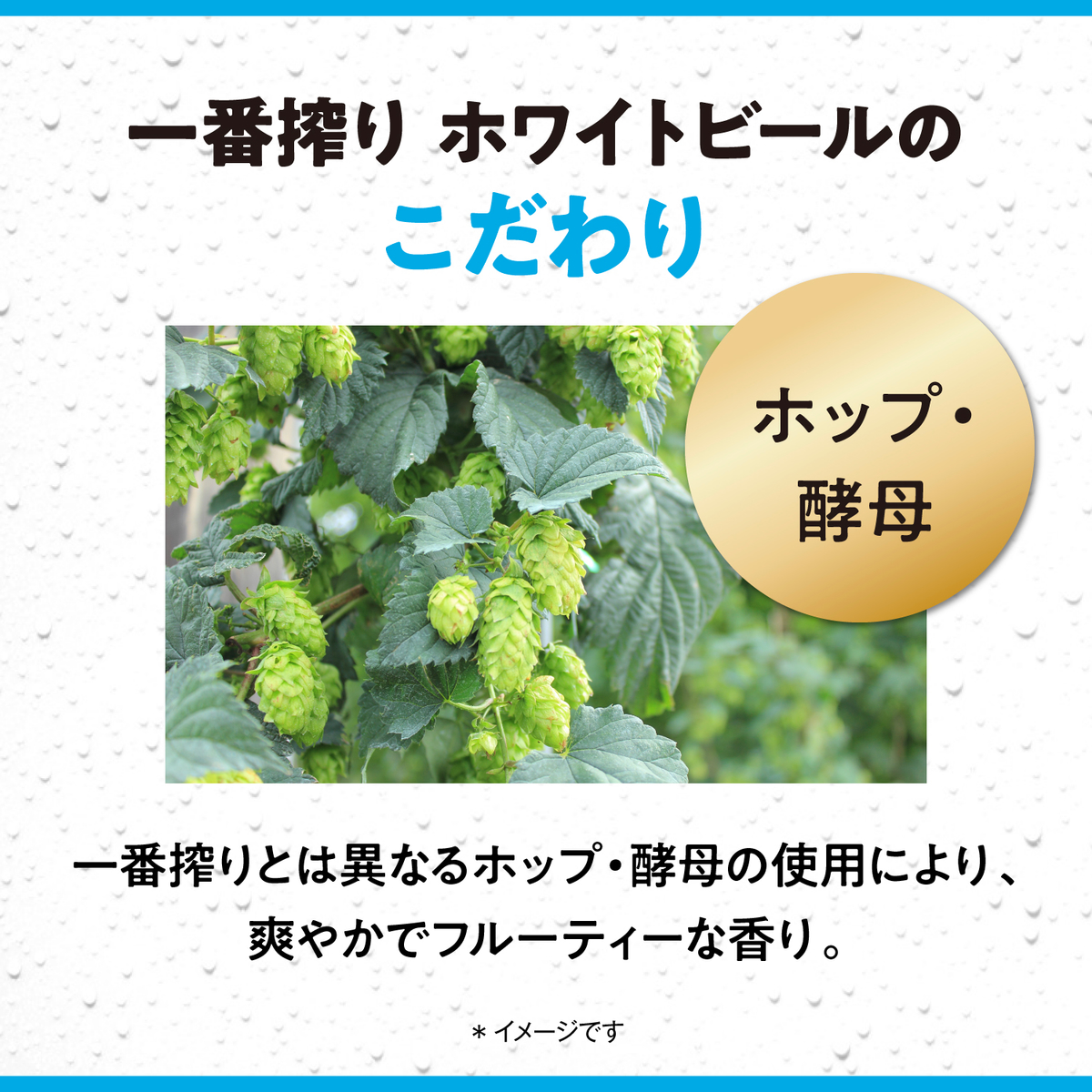 キリン　一番搾り　ホワイトビール　 350ml缶【ケース24本】【ビール】