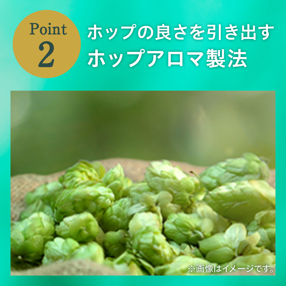 キリン　グリーンズフリー　350ml缶【ケース24本】【ノンアルコールビール】