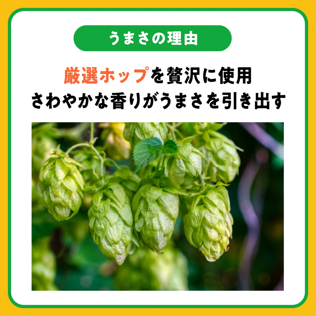 アサヒ スタイルフリー＜生＞ 500ml缶 【ケース24本】 【発泡酒