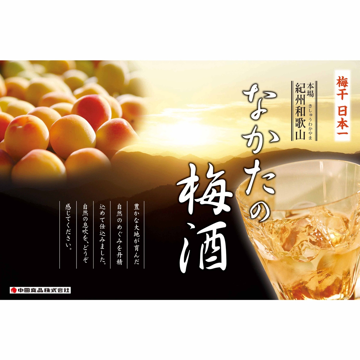 中田食品　梅酒のみくらべセット（白・赤・樽・蜂蜜・黒糖）300ml×5本　【リキュール　和歌山県】