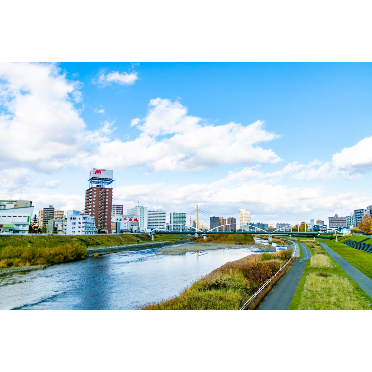 千歳鶴 なまら純米辛口 1800ml【日本酒 北海道】 | かぜとゆき