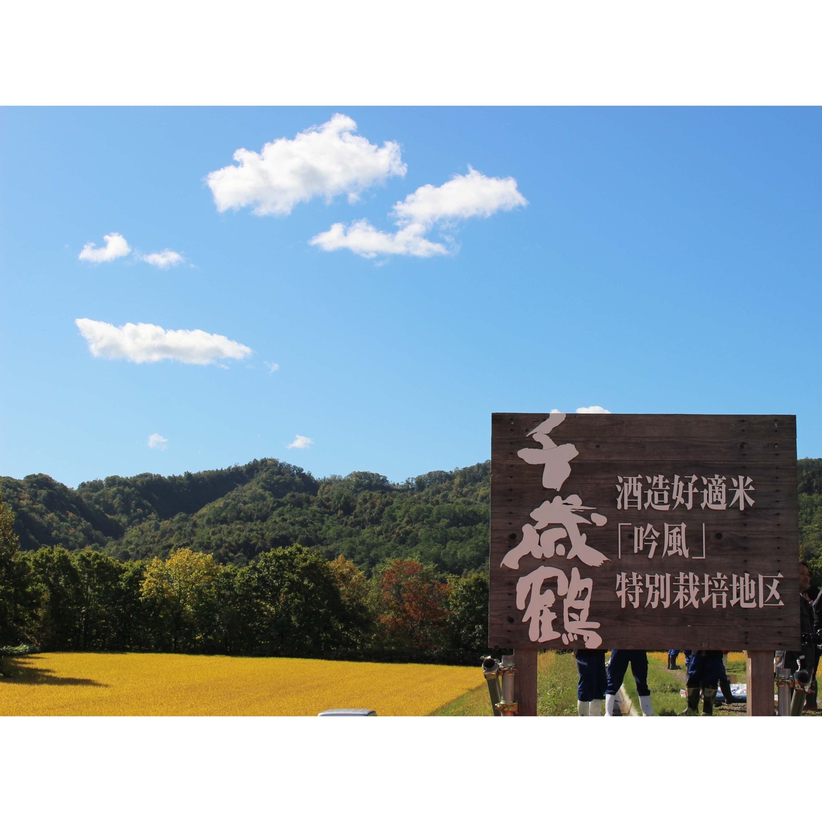 千歳鶴 北海道札幌の地酒のみくらべセット 360ml×3本【日本酒 北海道