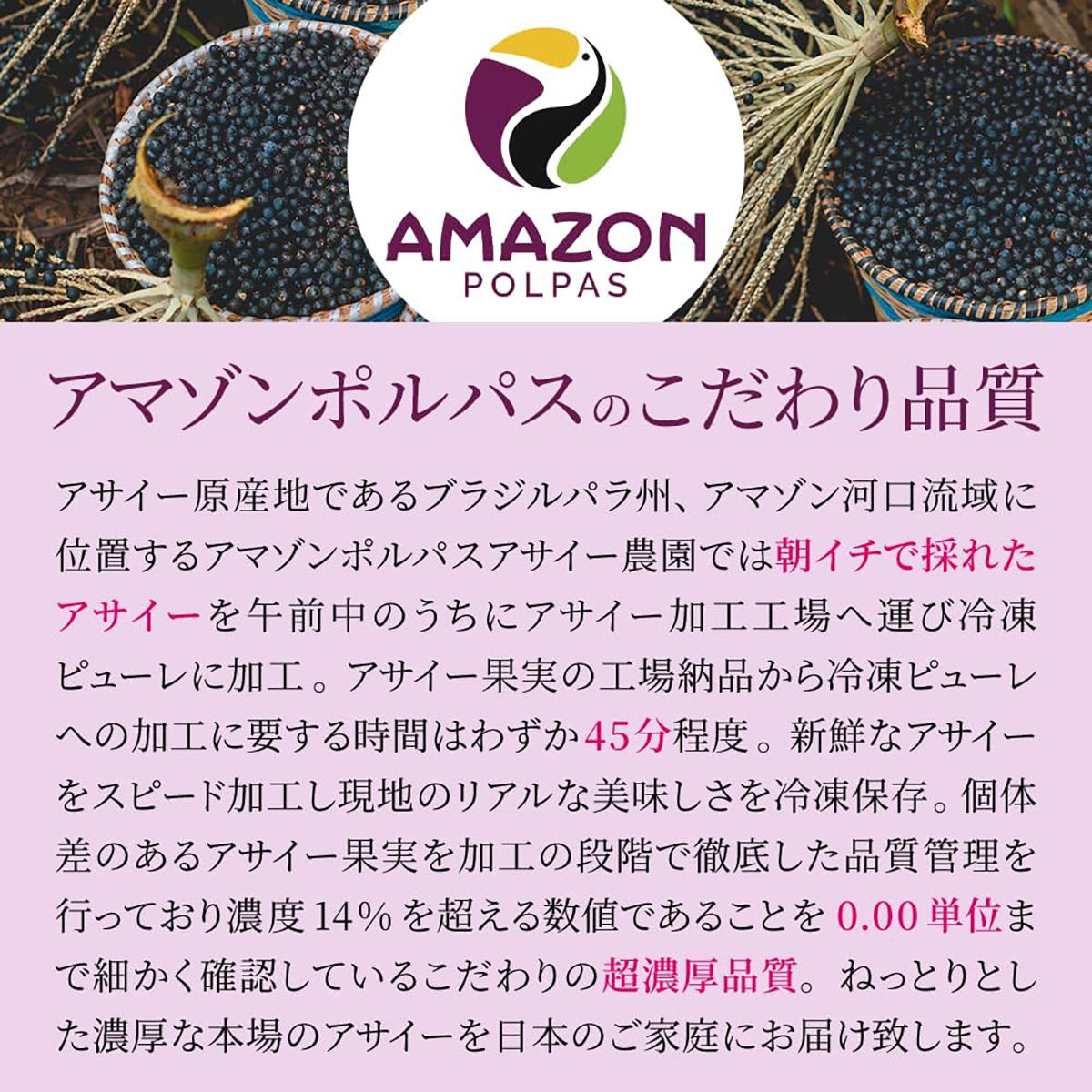 【冷凍】【AMAZON POLPAS】アサイーピューレプレミアム（加糖）100g×4パック