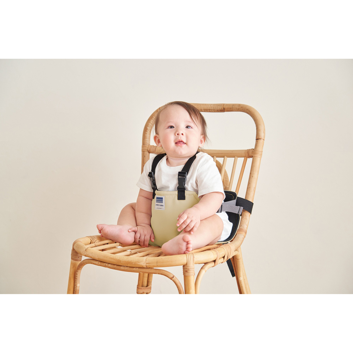 キャリフリー　チェアベルトホールドplus