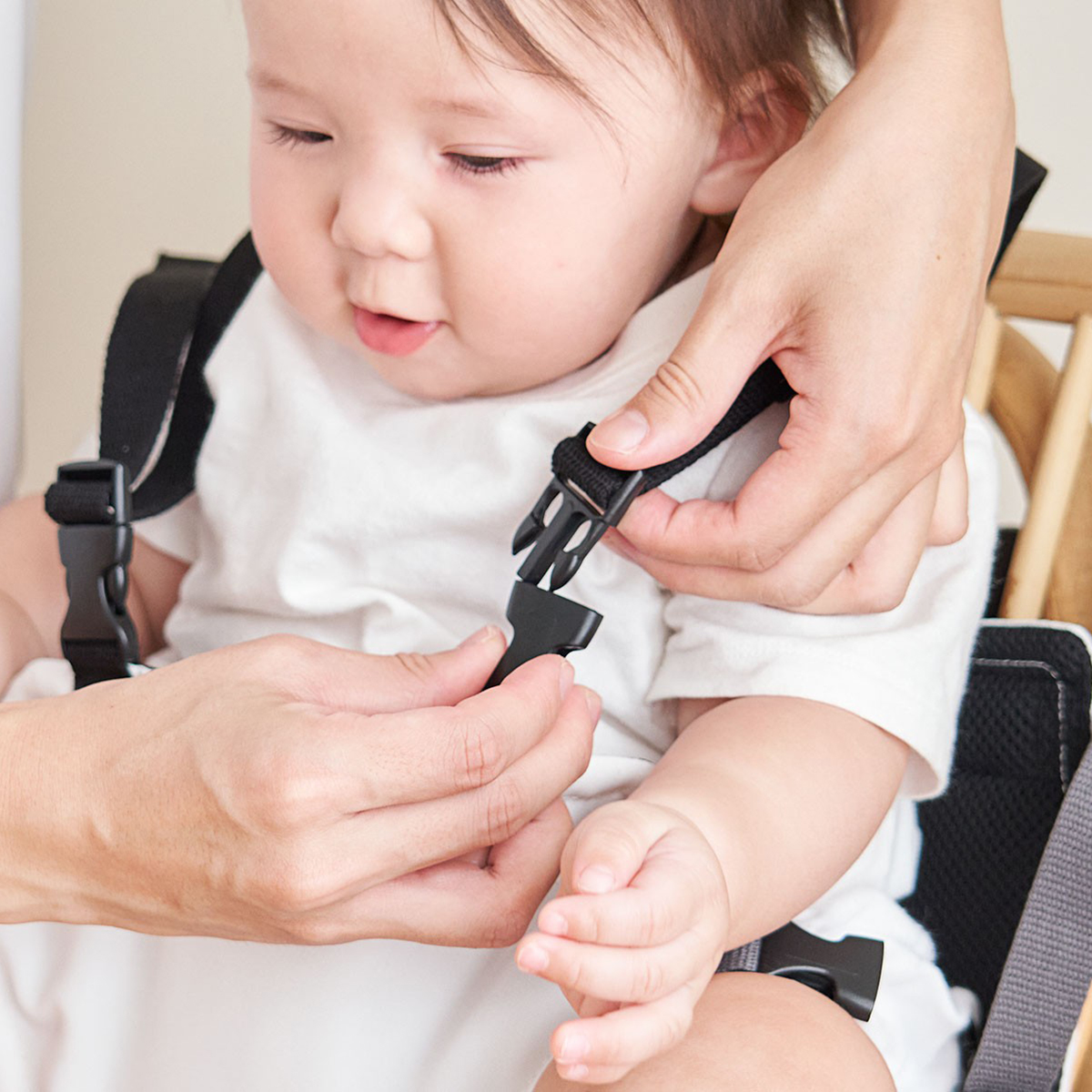 キャリフリー　チェアベルトホールドplus