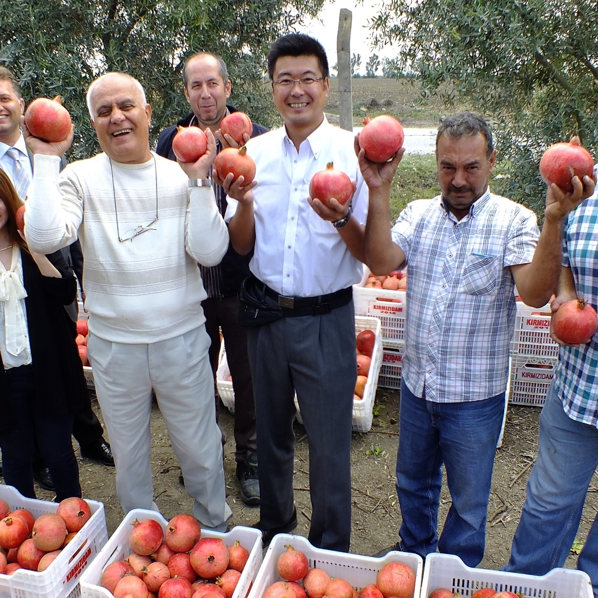 ざくろジュース１００％７２０ｍｌ