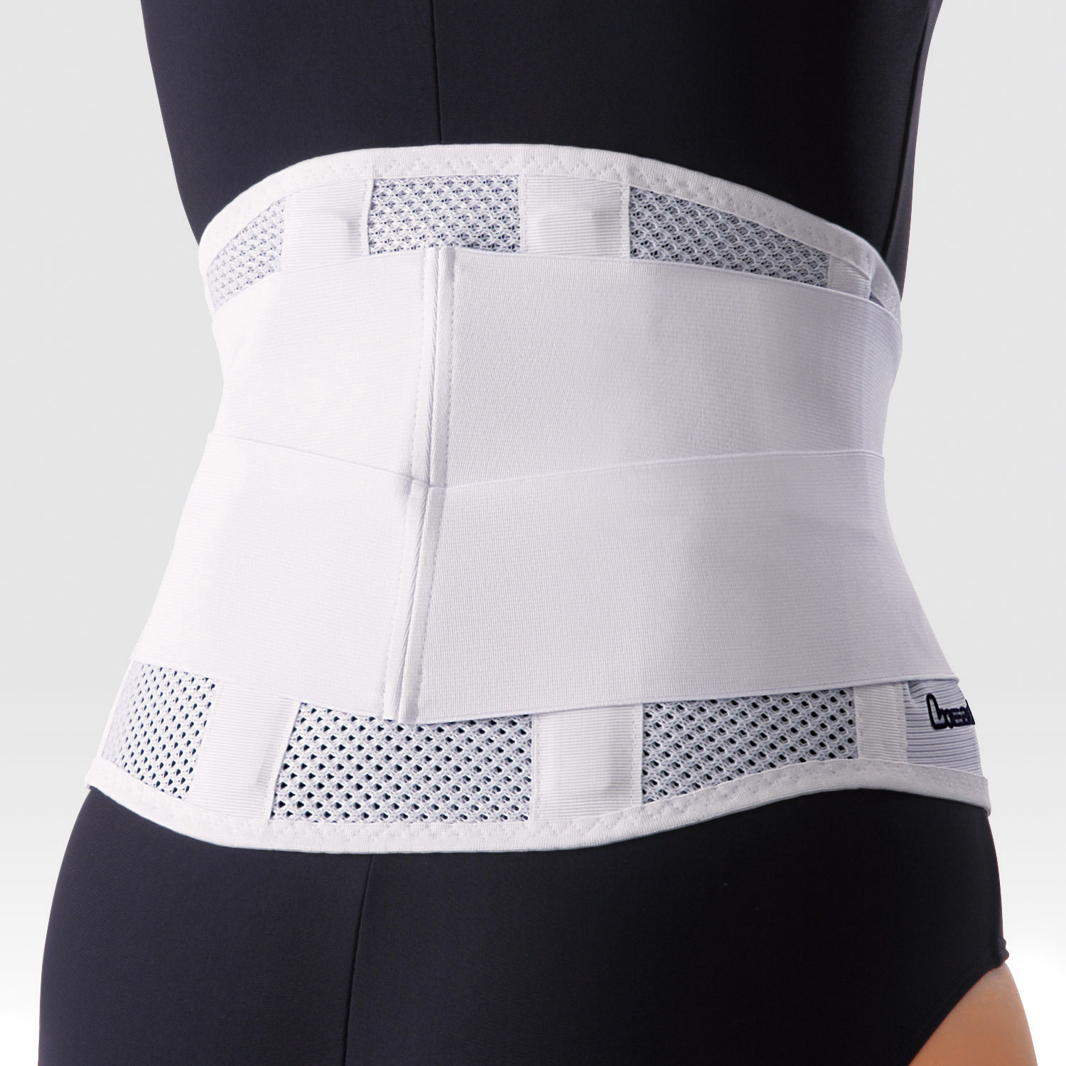 リーダー腰痛保護ベルトメッシュタイプ　M