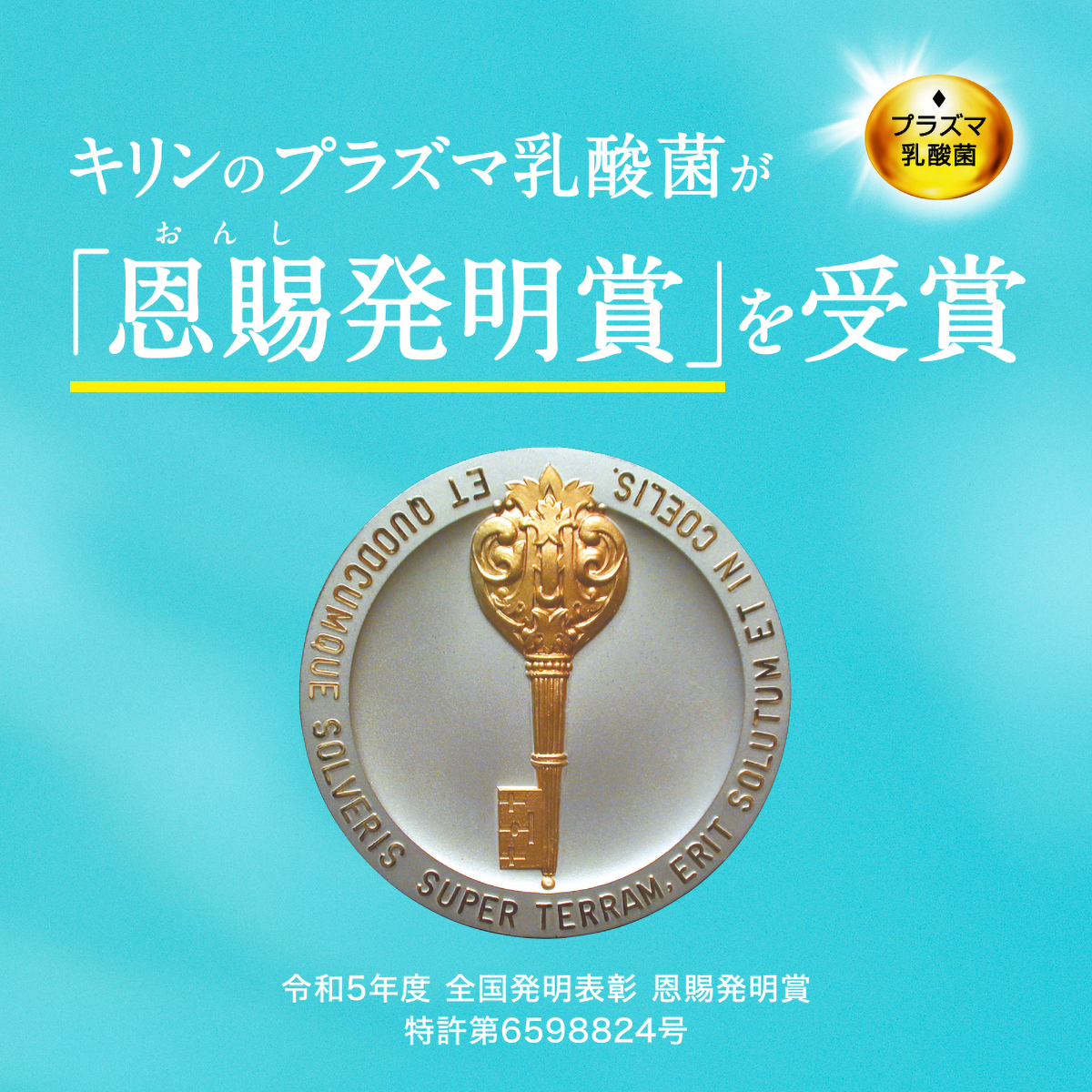 キリン　イミューズ　ヨーグルトテイスト500ml　PET（ケース24本） 260731
