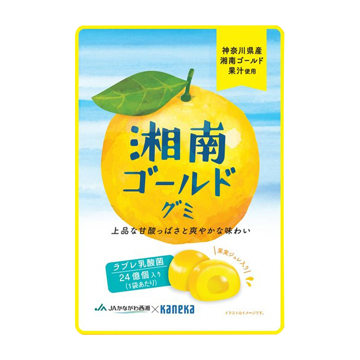 カネカ食品　湘南ゴールドグミラブレ乳酸菌入　４０ｇ