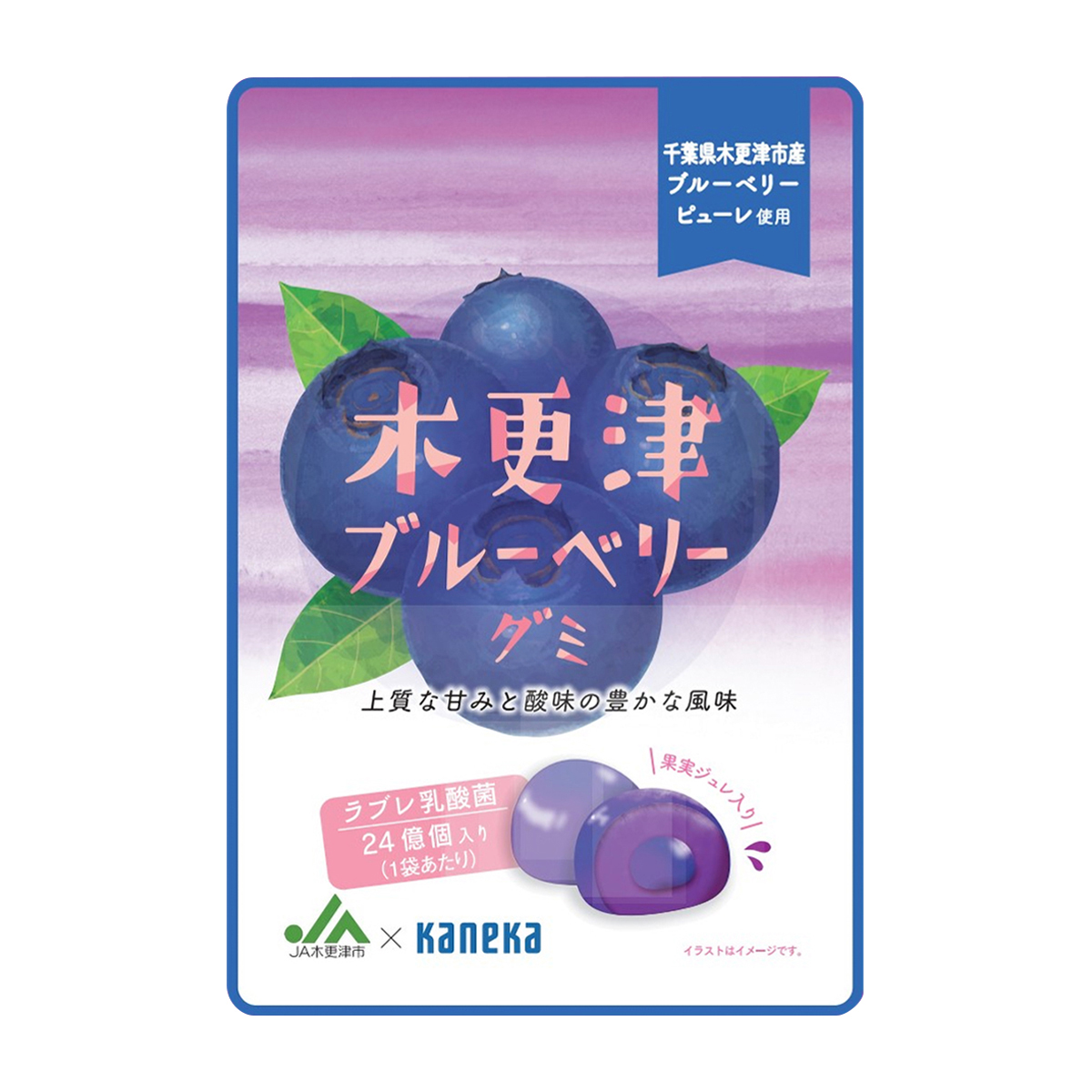 カネカ食品　木更津ブルーベリーグミ　ラブレ乳酸菌入　４０ｇ