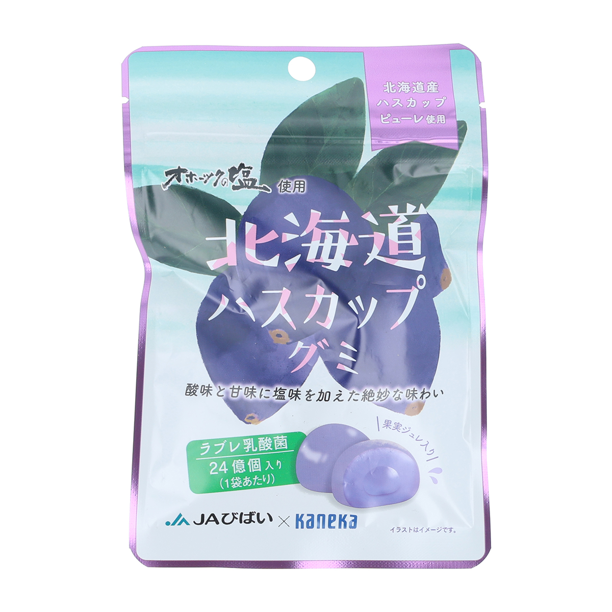 カネカ食品　北海道ハスカップグミ　ラブレ乳酸菌入　４０ｇ