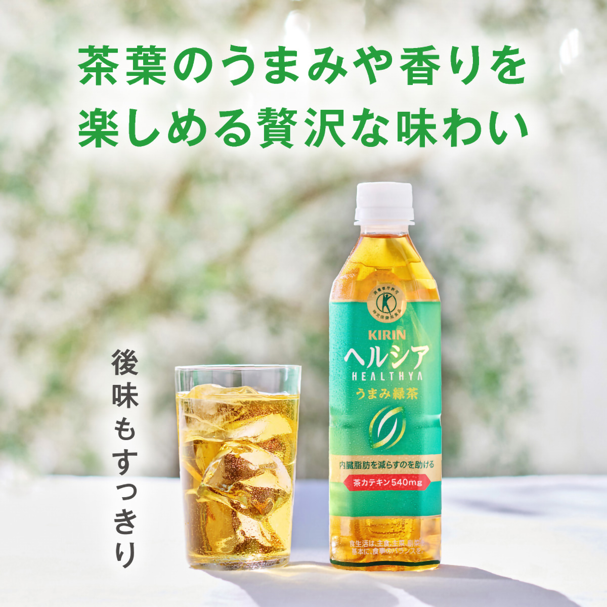 キリン ヘルシア うまみ緑茶 500mlPET【ケース24本】 | かぜとゆき