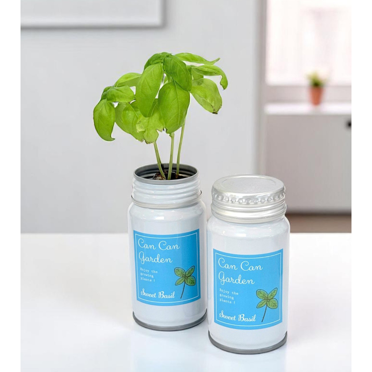 ボトル缶ハーブ栽培キット（バジル）