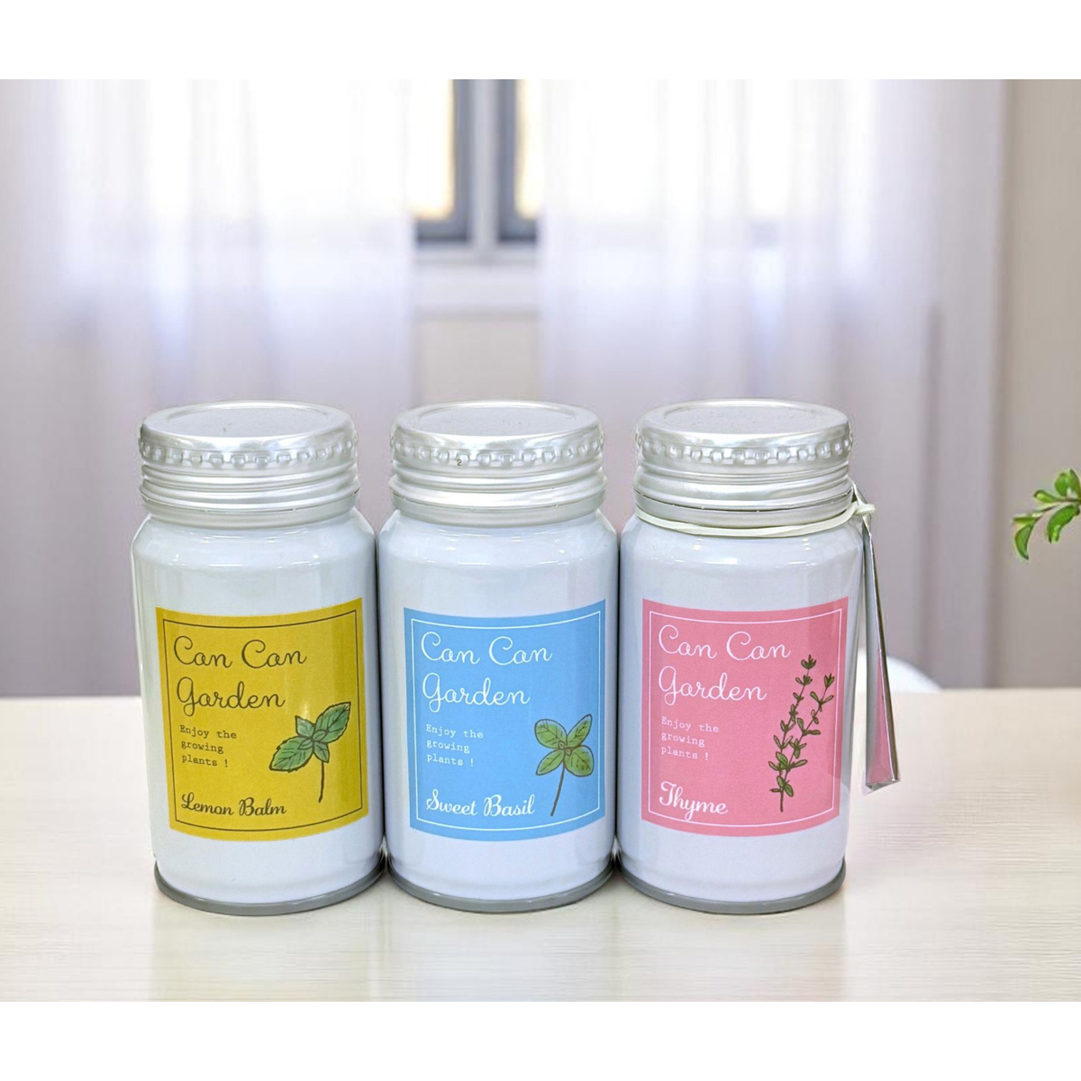 ボトル缶ハーブ栽培キット（バジル）