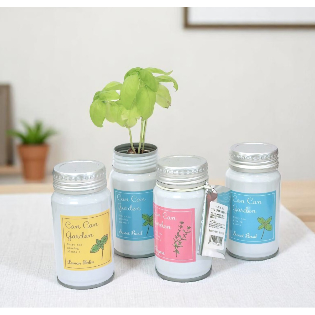 ボトル缶ハーブ栽培キット（タイム）