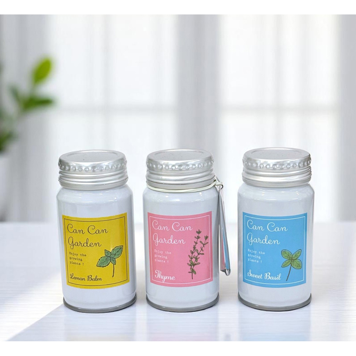 ボトル缶ハーブ栽培キット（レモンバーム）