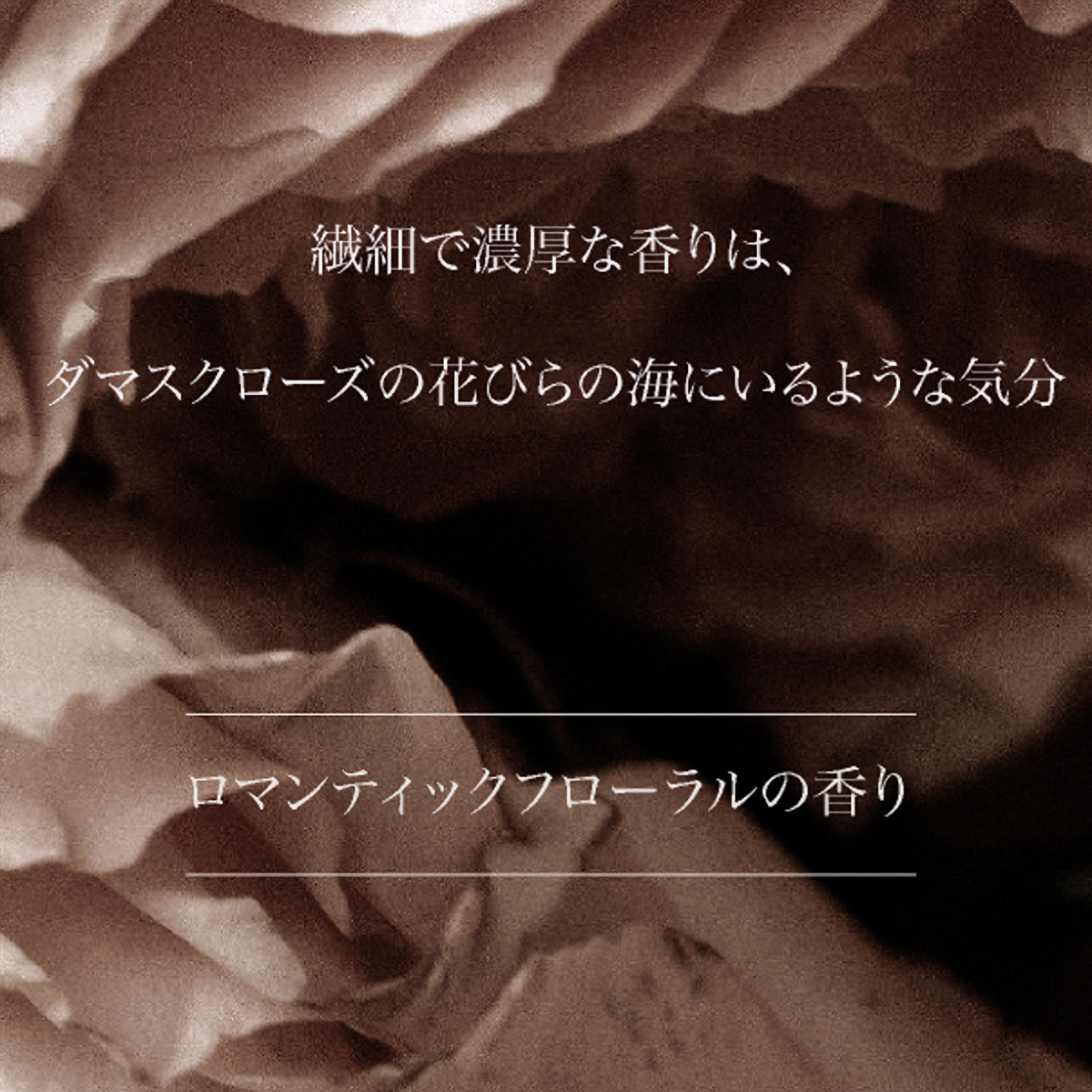 【ARTiS di Voce】ネイルオイル　DAWNING ROSE