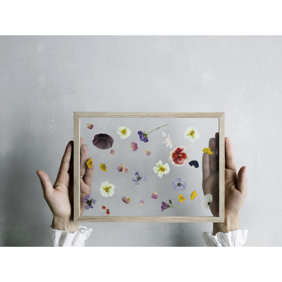 MOEBE フレーム A3