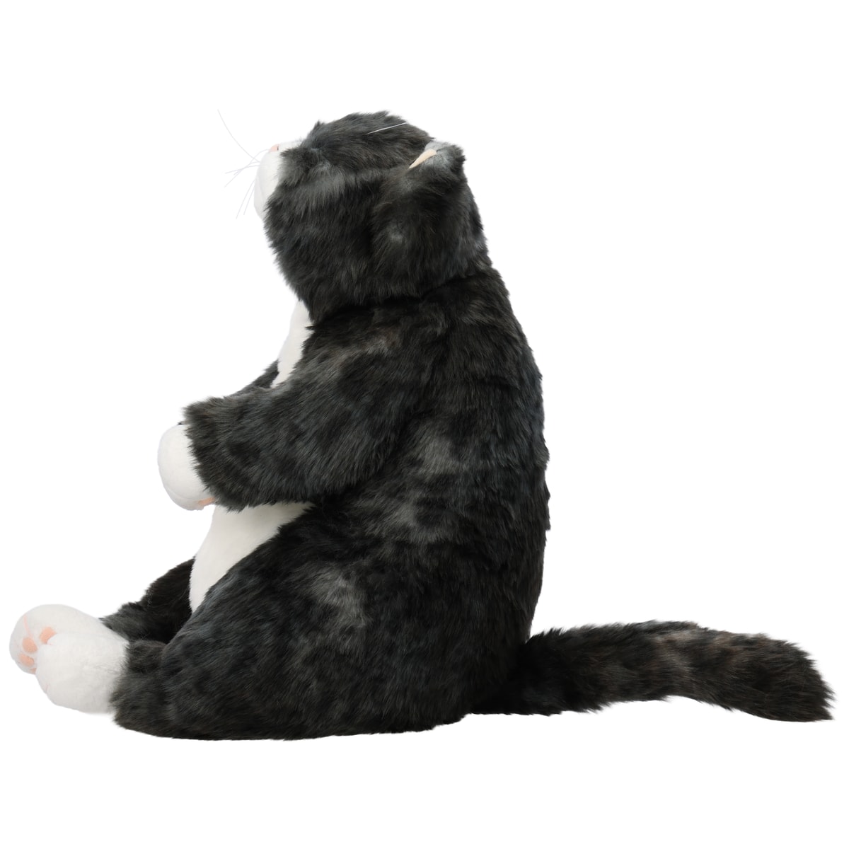 Cuddly猫のぬいぐるみ 4歳のねこ（45cm）＜ソメゴロー＞ | かぜとゆき