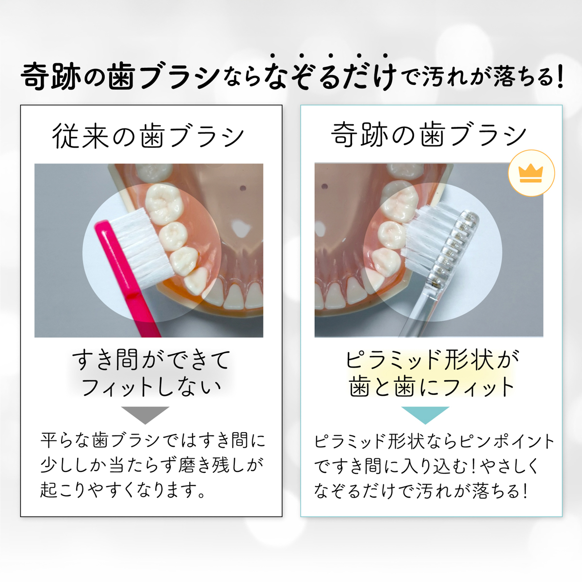 奇跡の歯ブラシ　１本