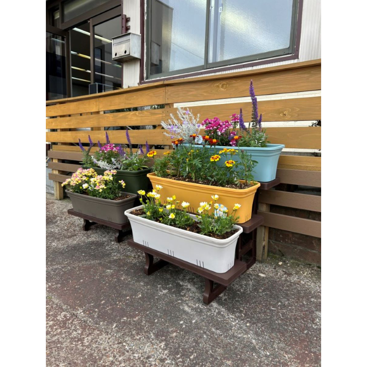 グリーンパル　テラスプランター６０ＣＭ　マスタードイエロー